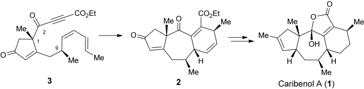 mcontent (9)