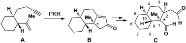 GA (3)