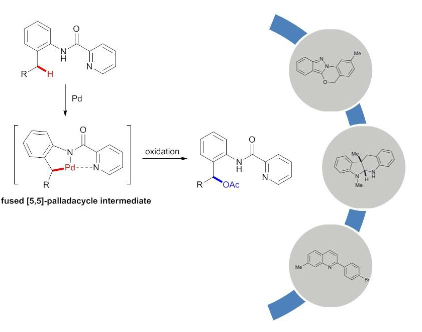 CT benzylic oxidation thumbnail