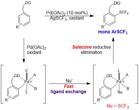 TOC-ywy