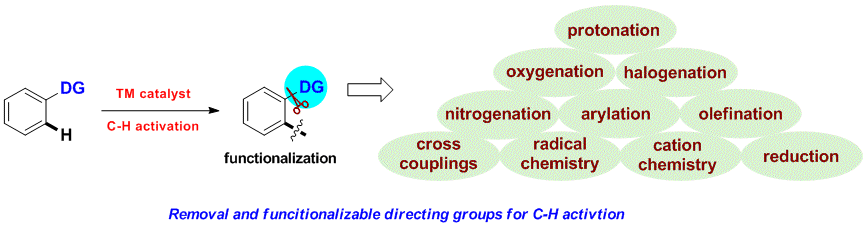 WCM-DG-Synpacts-TOC