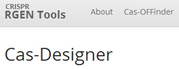 Cas-Designer