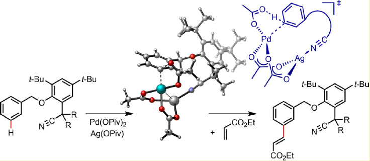 193.Palladium-Catalyzed Meta-Selective C−H Bond Activation with a Nitrile-Containing Template,Computational Study on Mechanism and Origins of Selectivity