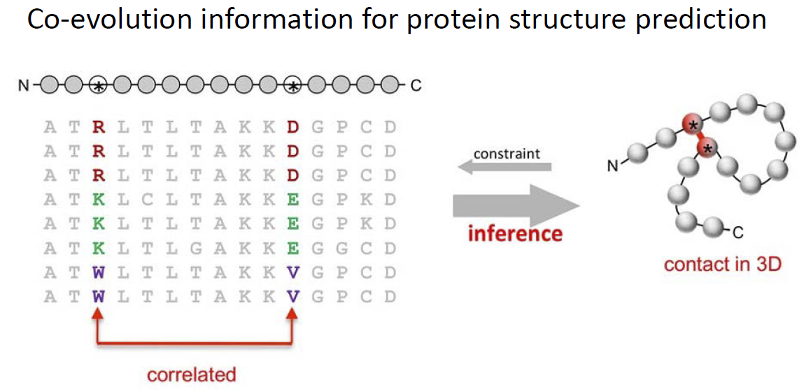 20140103_Wang Yang_Direct-Coupling Analysis (DCA) in Protein Structure