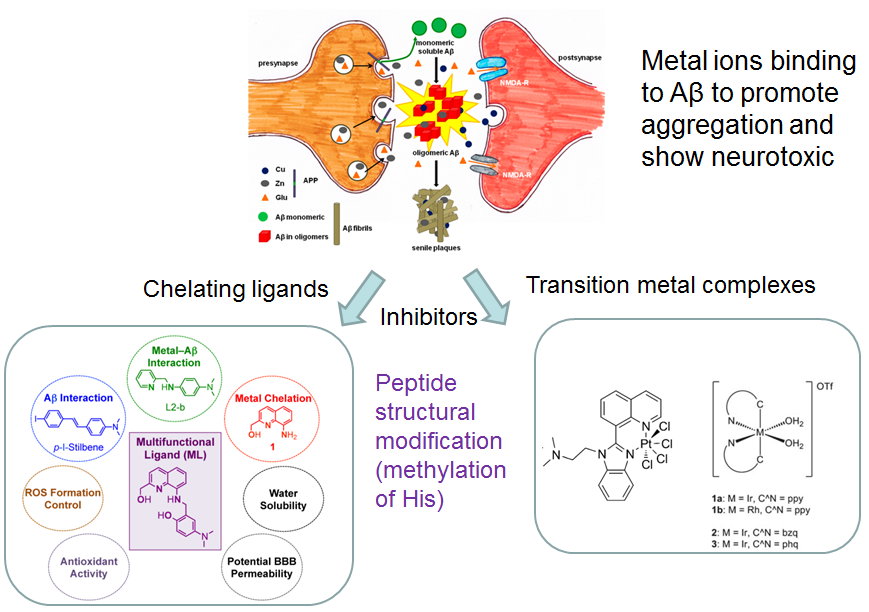 20140411_Song Li-Juan_Transition Metal-based Potential Therapy for Alzheimer’s Disease
