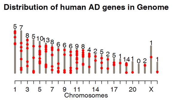 20140513_Han Ge_Introduction to The Alzheimer’s Disease Related Genes
