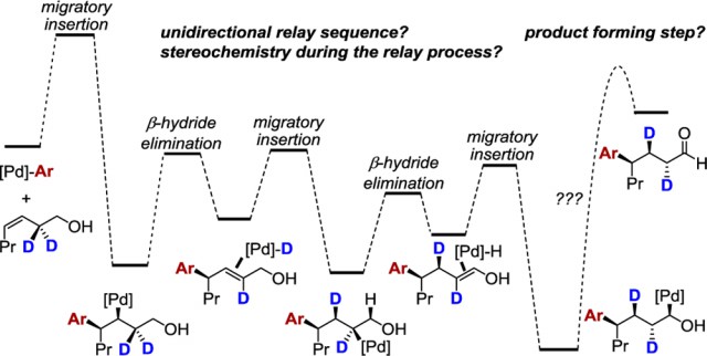 204. Investigating the Nature of Palladium Chain-Walking in the Enantioselective Redox-Relay Heck Reaction of Alkenyl Alcohols